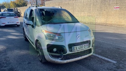 C3 PICASSO 1.6 HDI FAP BUSINESS